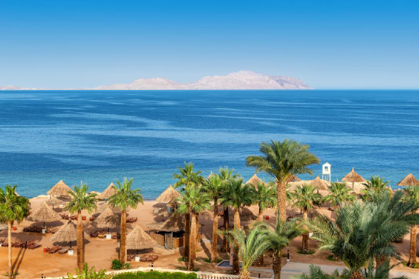 Paradise Sea Luxury: Island Escape & Semi-Submarine Experience